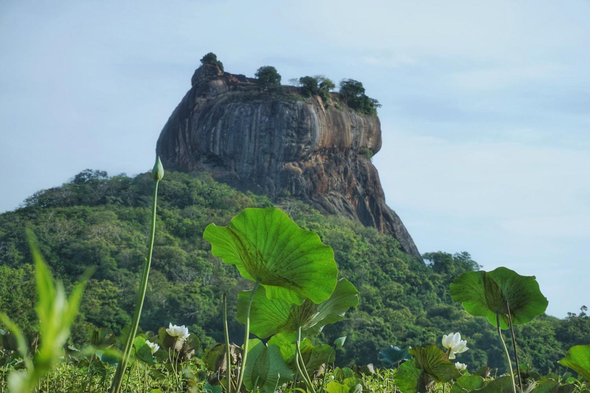 Sashini Homestay Sigiriya Exterior foto